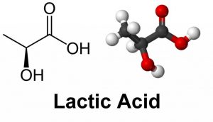 lacticacid-1024x587